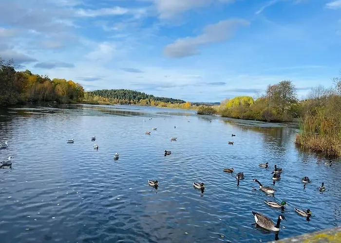 Koselig Leilighet Pa Ostensjo Med Stor Uteplass