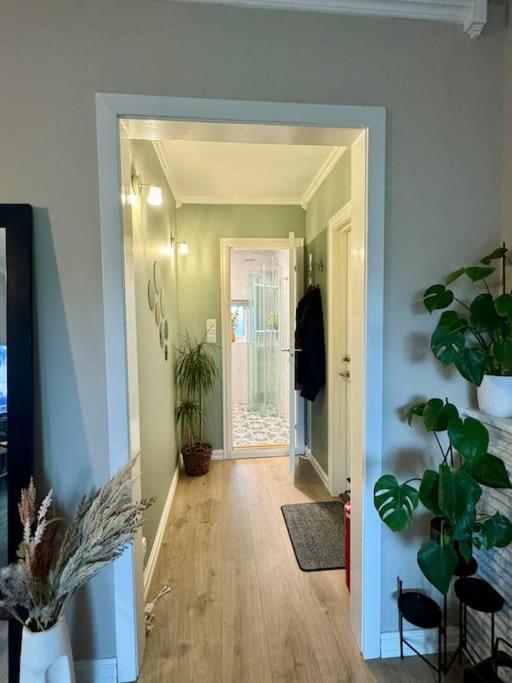 Koselig Pa Ostensjo Med Stor Uteplass Appartement *