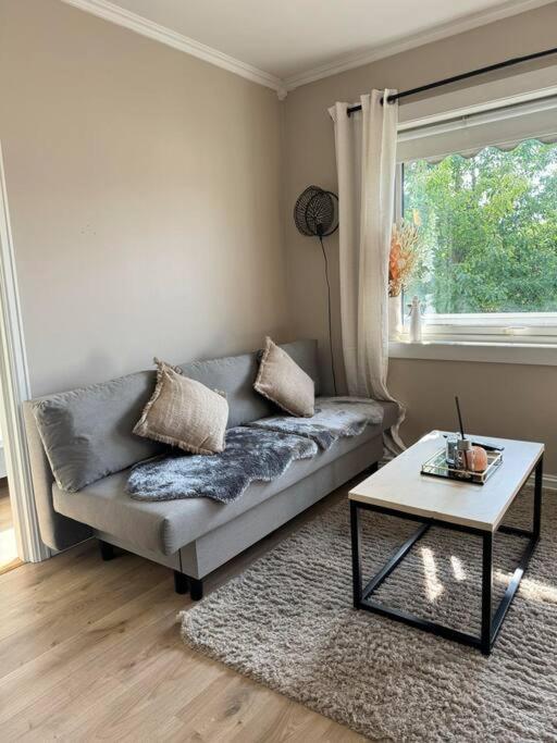 Appartement Koselig Pa Ostensjo Med Stor Uteplass